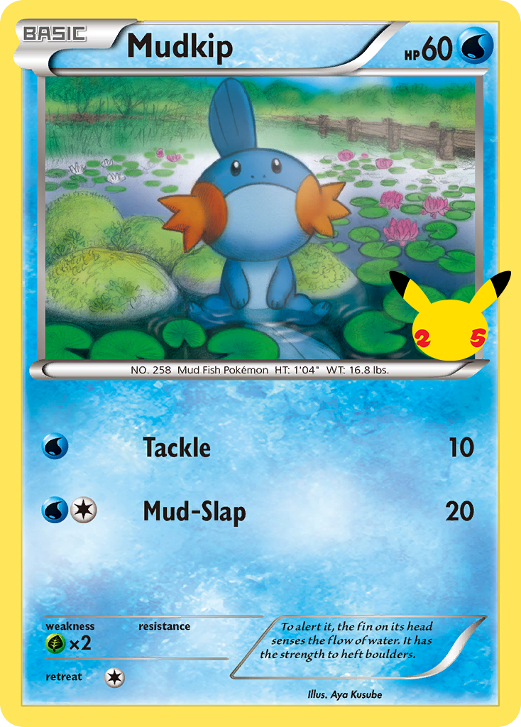 Mudkip Pokemon Card.