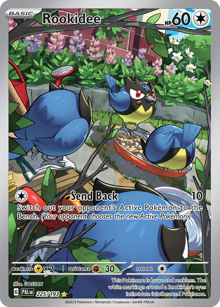 Rookidee Paldea Evolved Pokemon Card