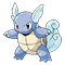 Image of Wartortle