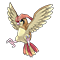 Image of Pidgeotto