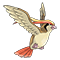 Image of Pidgeot