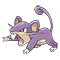 Image of Rattata