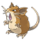 Image of Raticate