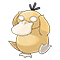 Image of Psyduck