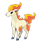 Image of Ponyta