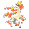 Image of Rapidash