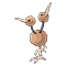 Image of Doduo