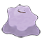 Image of Ditto