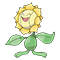 Image of Sunflora