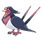 Image of Swellow