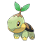 Image of Turtwig