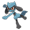 Image of Riolu