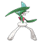 Image of Gallade