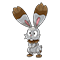 Image of Bunnelby
