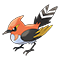 Image of Fletchinder