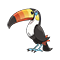 Image of Toucannon