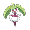 Image of Steenee