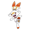 Image of Scorbunny