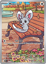 Minccino