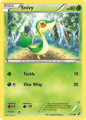Snivy Black & White Pokemon Card