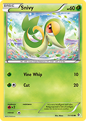 Snivy Boundaries Crossed Card List