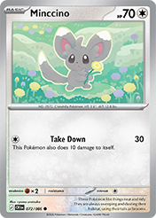 Minccino