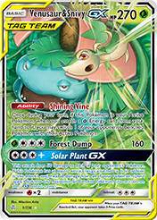 Venusaur & Snivy-GX