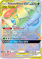 Venusaur & Snivy-GX