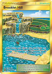 Brooklet Hill Hidden Fates Pokemon Card