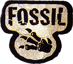 Pokemon Cards Fossil Logo