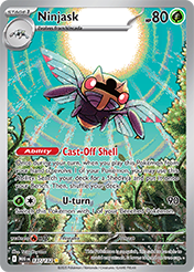 Ninjask