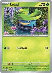 Lotad