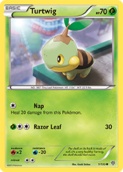 Turtwig Plasma Storm Card List