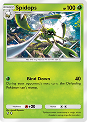 Spidops Paldean Wonders Card List