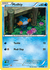 Mudkip Primal Clash Pokemon Card