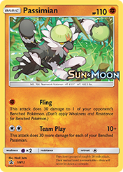 Passimian SM Black Star Promos Pokemon Card