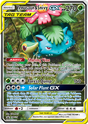 Venusaur & Snivy GX