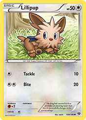Lillipup XY Pokemon Card