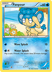 Panpour XY Pokemon Card