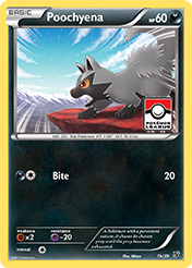 Poochyena Kalos Starter Set Pokemon Card
