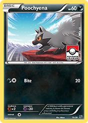 Poochyena Kalos Starter Set Card List