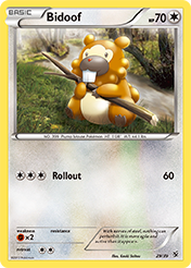 Bidoof Kalos Starter Set Pokemon Card
