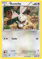 Bunnelby Kalos Starter Set Pokemon Card
