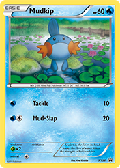 Mudkip XY Black Star Promos Pokemon Card